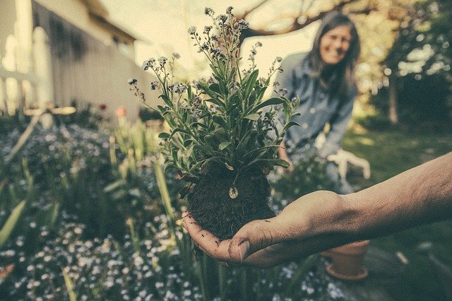 self care gardening